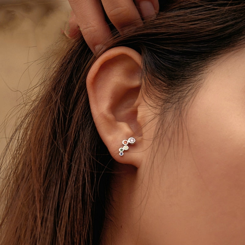 Shiny Elegance Earing