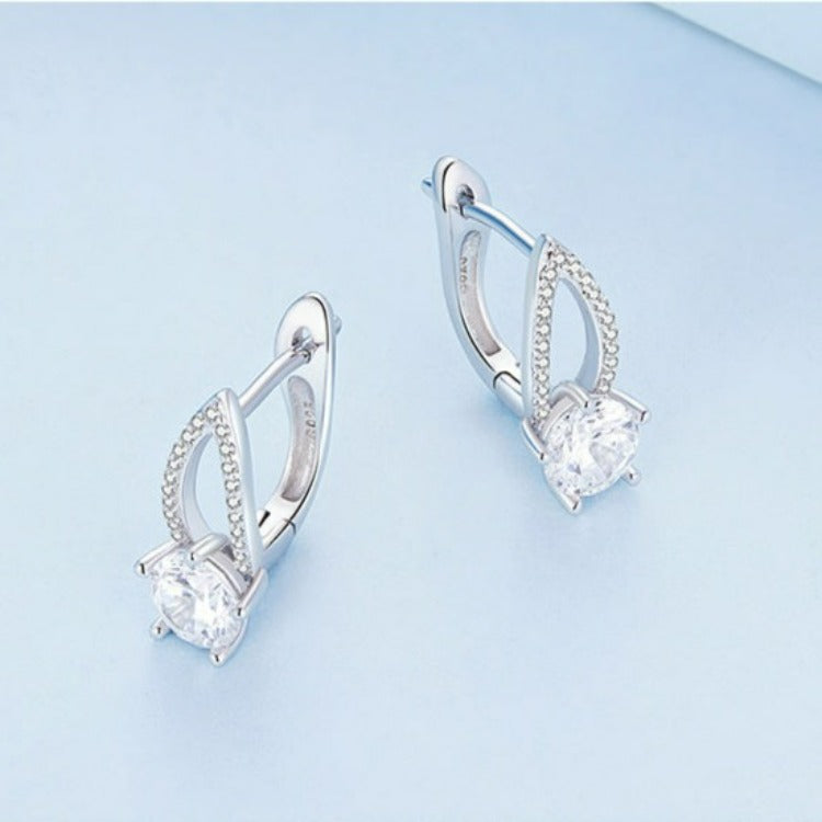 Brilliant Silver Earrings